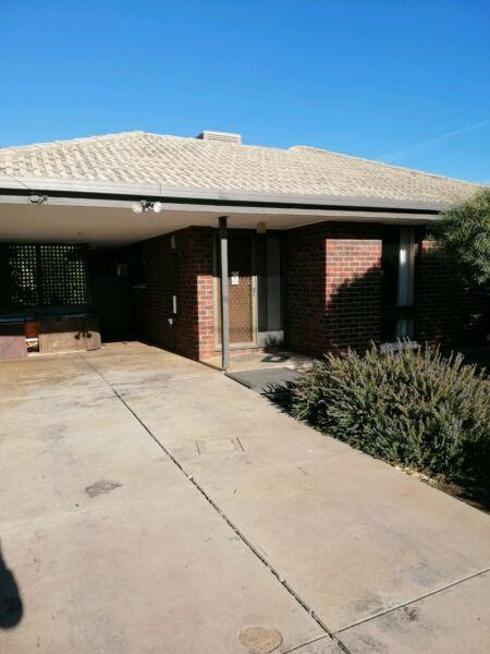 For Rent at Seaford 3 Bedroom House $375pw